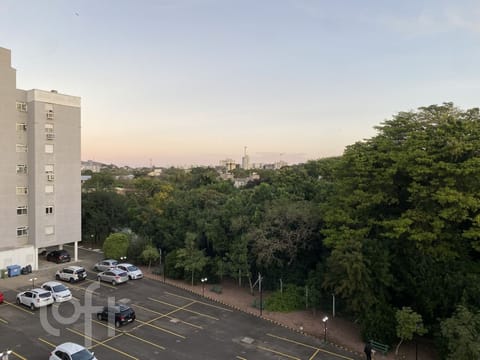 Image 4 - 253247